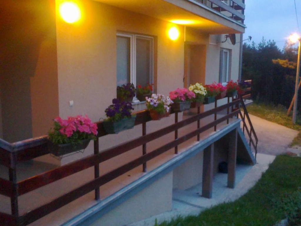 Apartments Varga Divčibare المظهر الخارجي الصورة